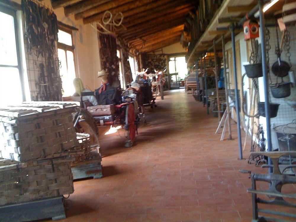 Villa Fattoria Di Castiglionchio Rosano  Exterior foto